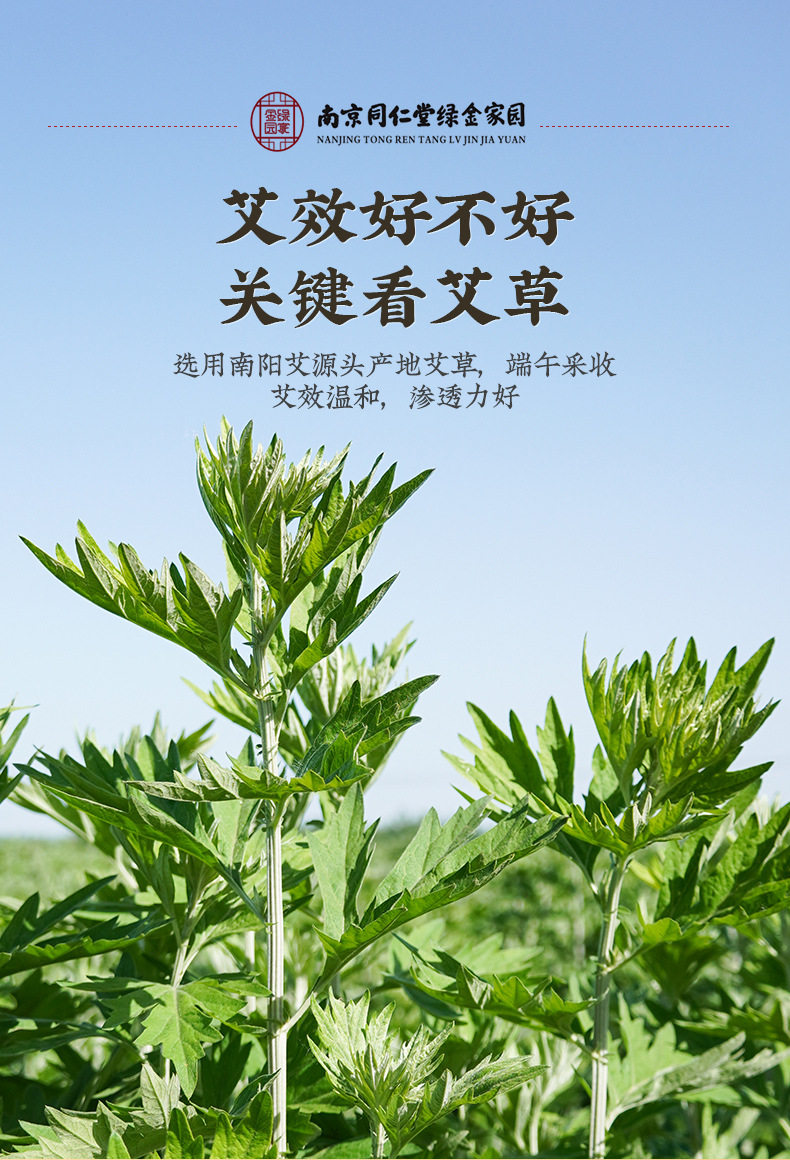 南京同仁堂 艾灸贴 自发热暖身艾草贴肩颈热敷贴宫暖艾灸暖宝宝贴 5贴/盒 1 份