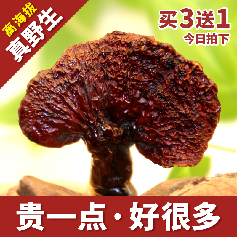 Tibet Wild Ganoderma Lucidum Nyingchi Red black Ganoderma Lucidum dry whole Ganoderma Lucidum 250g non-spore powder capsules
