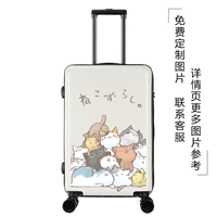 Много кошачьих белых обновлений