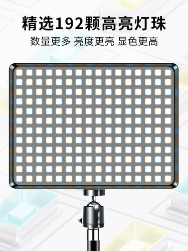 Гурманный свет светлый живой живой съемки световой световой светодиодный