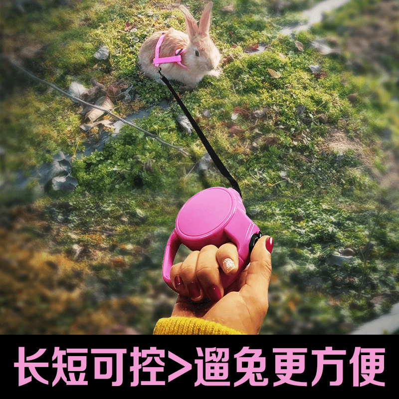Fried Rabbit Traction Rope Dwarf rabbit anti-earn and adjustable special chain Pet Rabbit Dragon Cat Out of Telescopic Rope