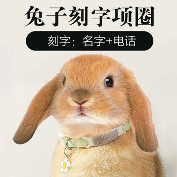 Rabbit Collar with Engraving, Dwarf Lop-Eared Rabbit Neck Ring, Neck Accessory with Bell, Necklace, Neck Ornament, Small Pet Anti-Loss