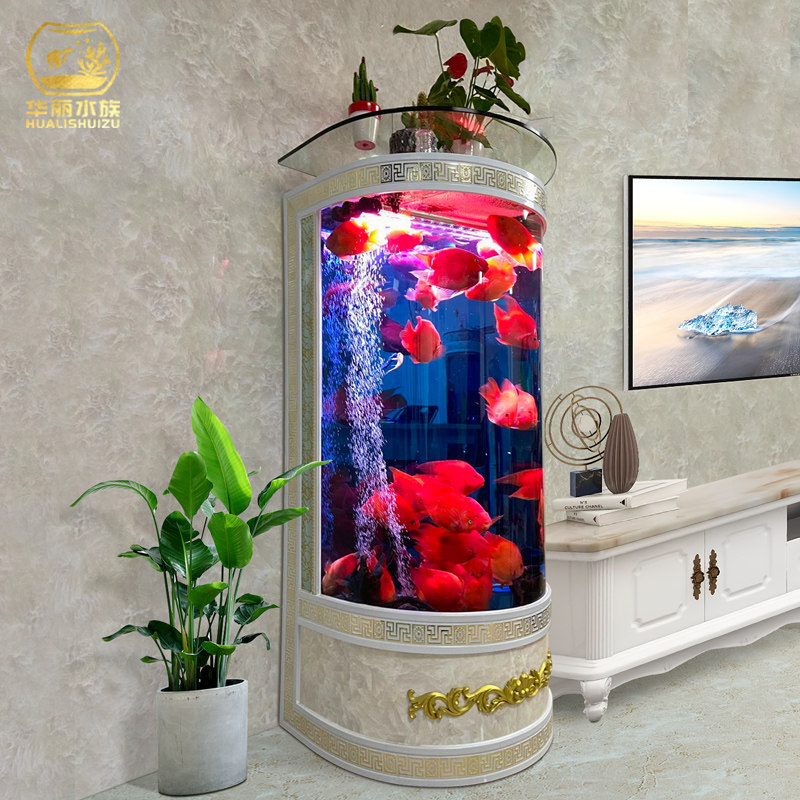 Fish cylindrical aquarium cylindrical aquarium cylindrical aquarium cylindrical fish tank