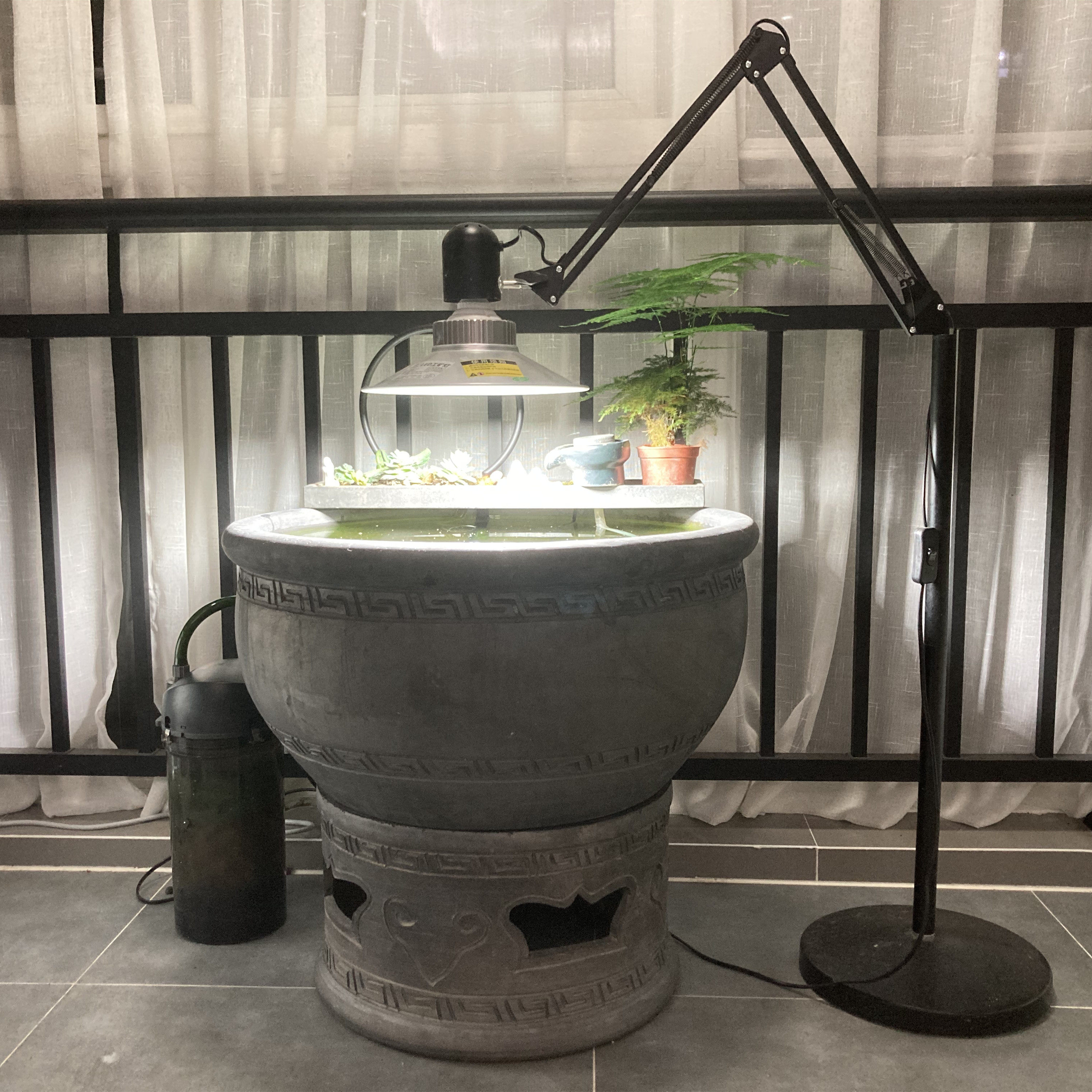 old beijing fish pot lamp moss lamp goldfish moss blasting lamp moss drying lamp