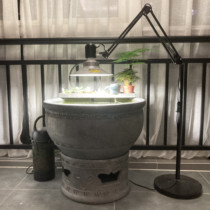 old beijing fish pot lamp moss lamp goldfish moss blasting lamp moss drying lamp