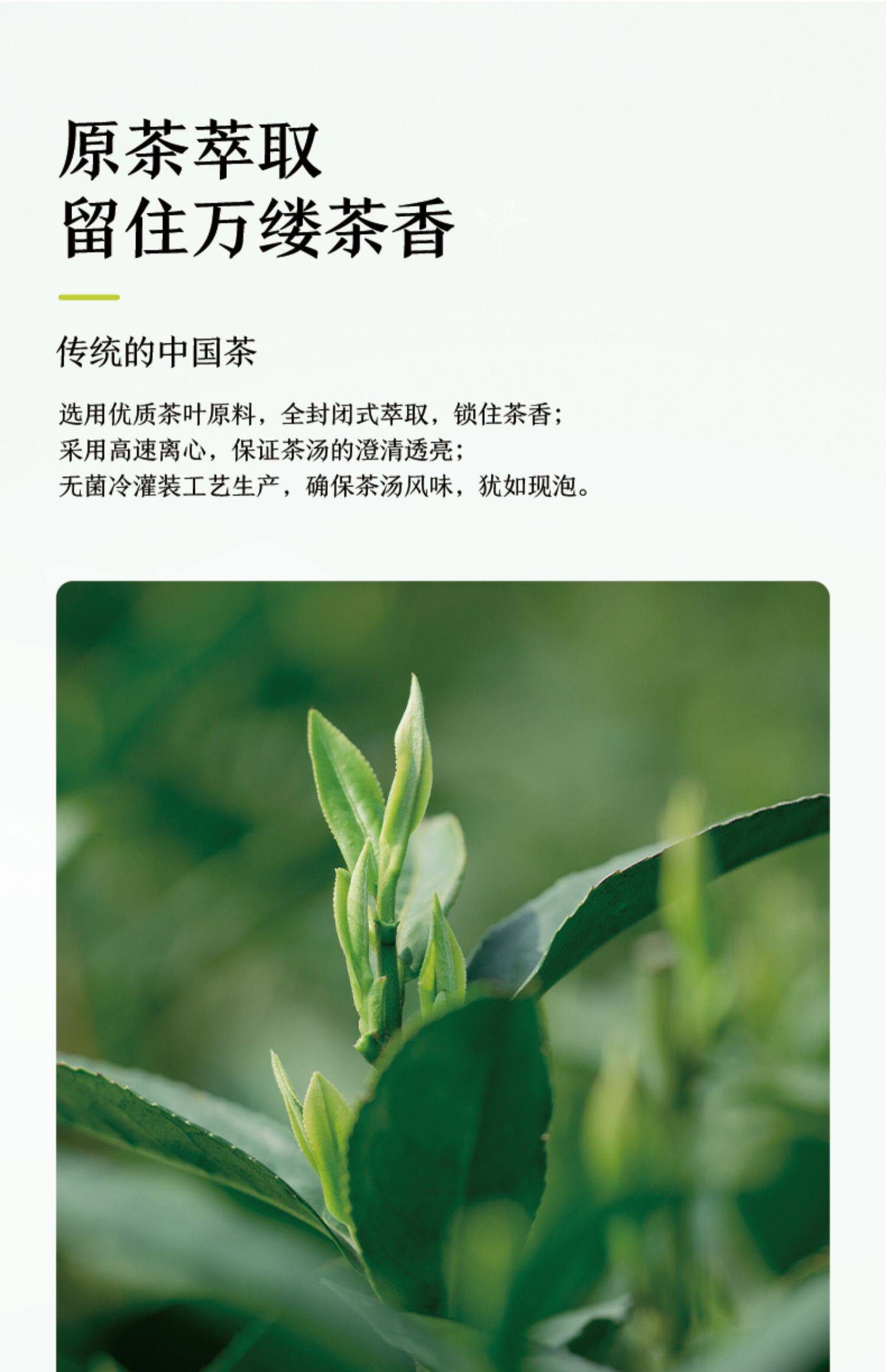 农夫山泉 东方树叶 500ml*15瓶 图5
