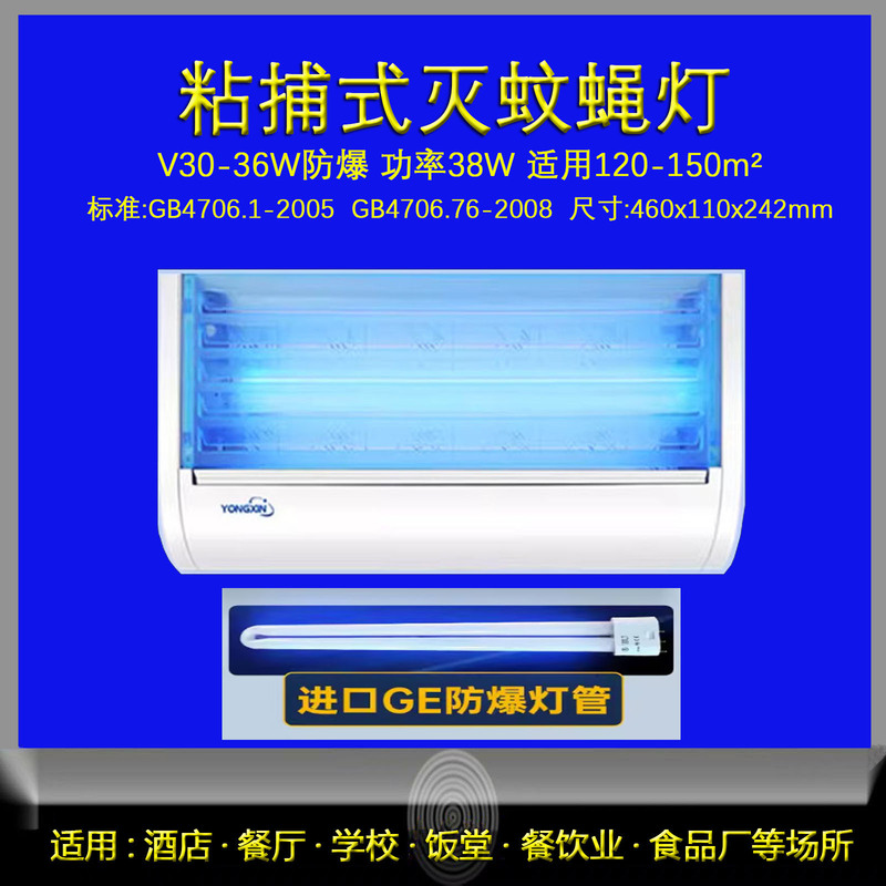 Sticky Trap Yongxin Fly Killer Lamp for Hotels, Schools, Canteens, Restaurants, Kindergartens, and Kitchens