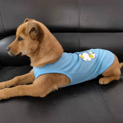 Тонкая летняя одежда, дышащая майка топ, шнурок-держатель