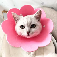 Розовая пряжка