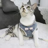 Котенок Тропительный веревочный котенок кошка ходьба кошка веревка мини-маленькая защита, чтобы сломать свободный цепь кошки Удобный материал 1-4 кошки кошка