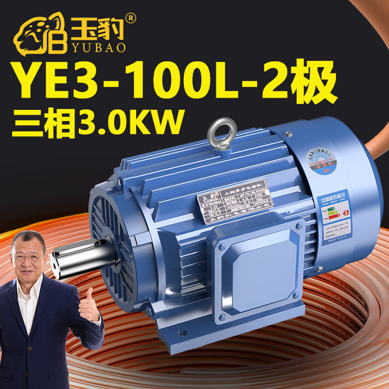 100L-2极全新YE3系列三相异步电动机国标3KW电机380V三相全铜