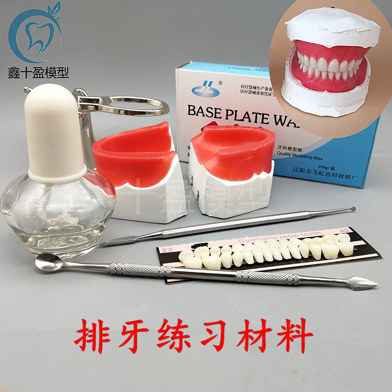 牙科无牙颌蜡堤模型口腔学生练习人工牙蜡型基托排牙套装底座软蜡