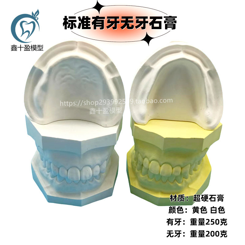 牙科标准石膏模型口腔教学全口牙齿模型有牙模型无牙模型石膏模型