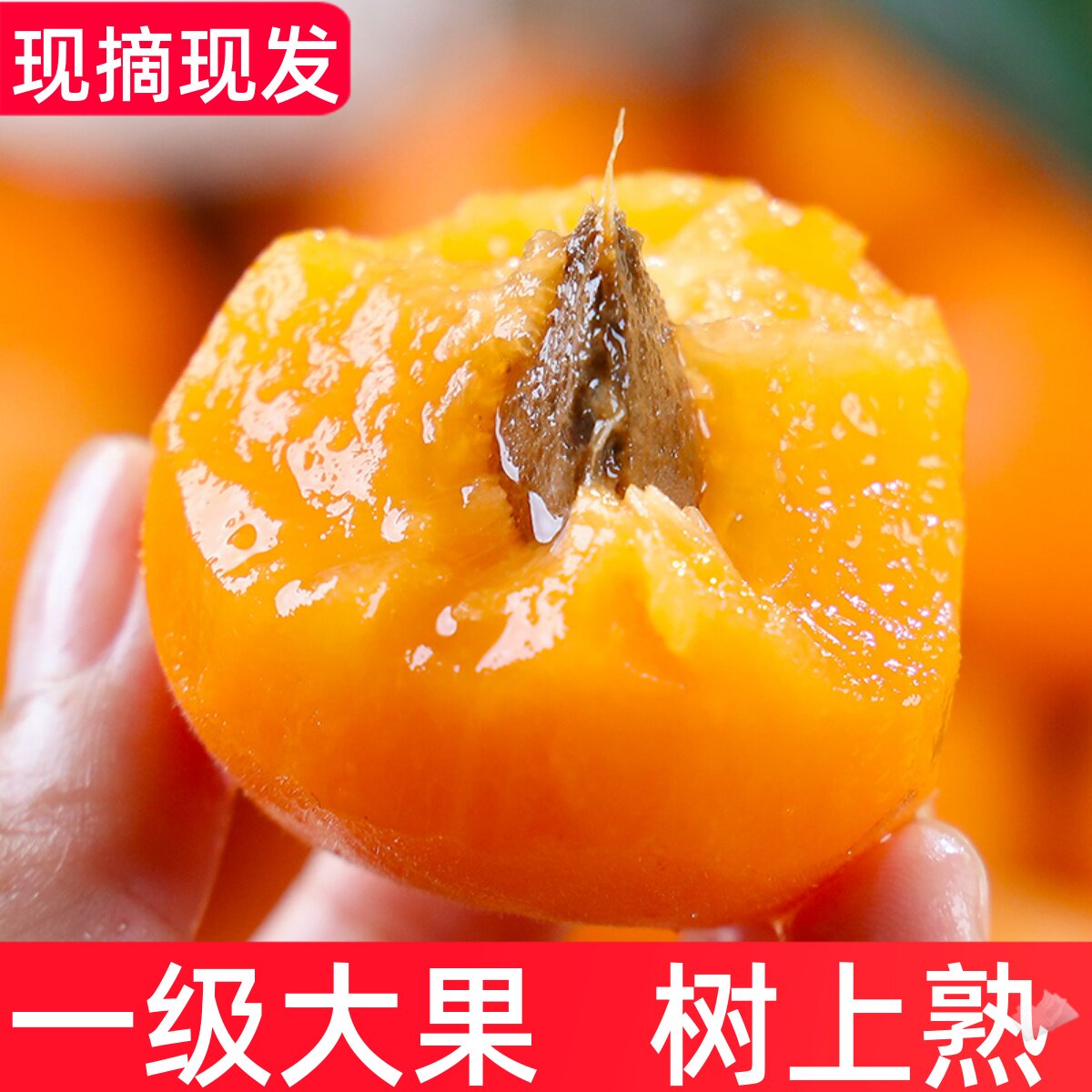 陕西大黄杏5斤现摘现发！酸甜爆汁孕妇水果当季新鲜金太阳整箱包邮-杏-淘宝好物网