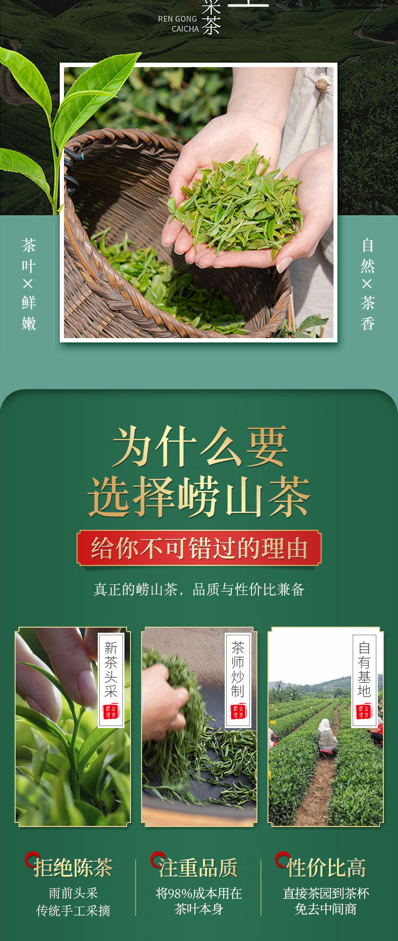 青岛崂山 21新茶 一级云雾绿茶 125g*2罐 豆香浓郁 图8