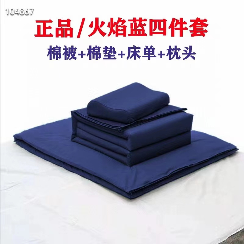 Fire flame blue hot melt quilt warm stereotyped quilt bed sheet quilt cover pillow