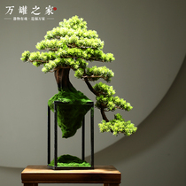 Living room simulation plant bonsai Indoor welcome pine green plant potted fake tree Entrance desktop micro landscape decorative ornaments