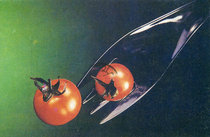 Postcards from the 1980s