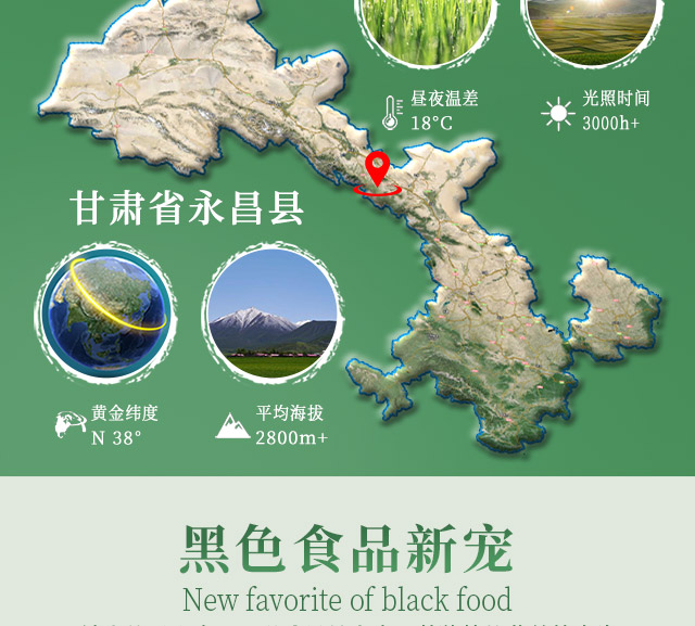 安享好物 安享S级小麦面粉-祁连农庄有机黑全麦面粉 行标 