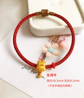 Бусин с видом на зодиака