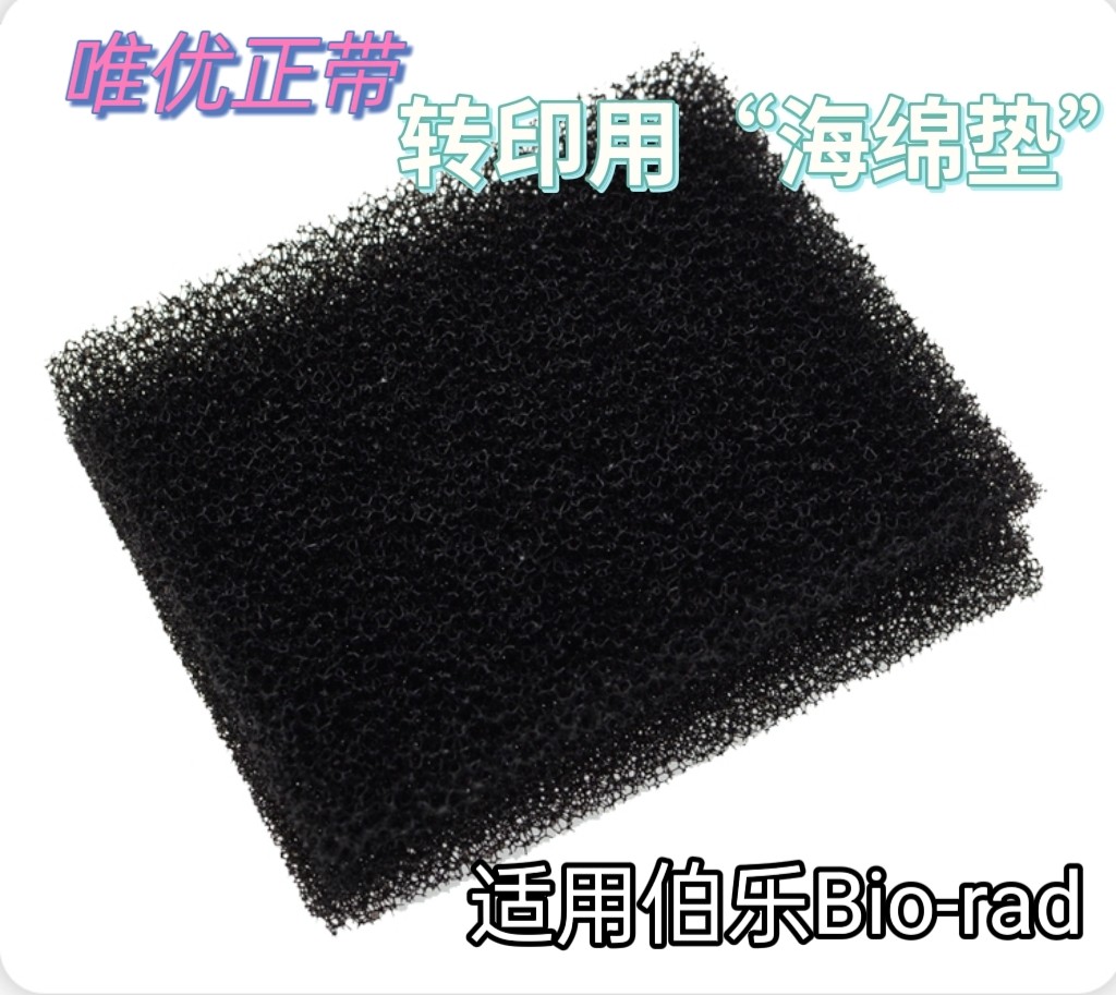伯乐国产WB转印槽海绵垫转膜夹样品多孔垫 WesternBlot三明治夹板