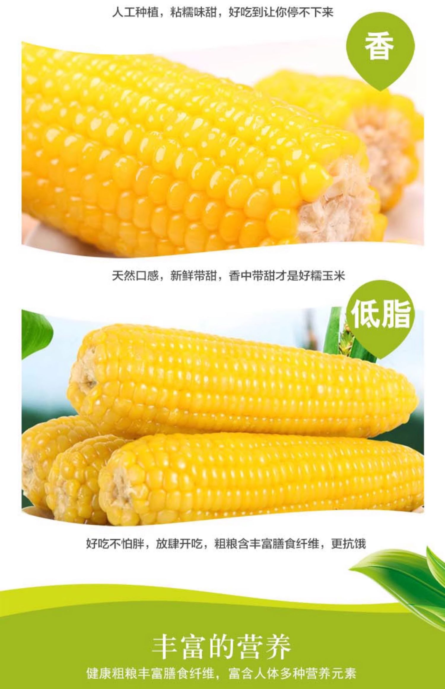 香糯 Q 弹敲好吃：吉林省农投集团东北糯玉米 2.4 元新低速囤休闲区蓝鸢梦想 - Www.slyday.coM