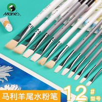 Marley sheep tail hair gouache paint pen professional set 12 Fan Pen single student beginner portable acrylic pen diy brush bristle brush brush brush