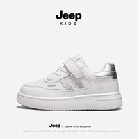 10668 Серебро [четыре сезона]