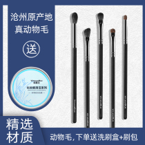 Orchid animal hair 5 eye shadow brush eye makeup brush set soft hair portable details nasal shadow dyed brush