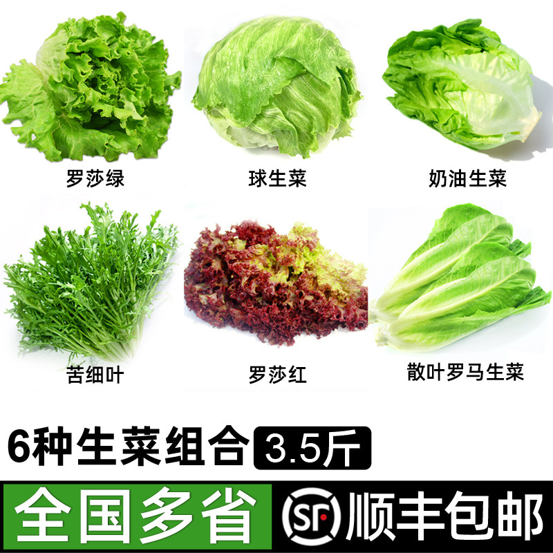 Fresh salad vegetable combination 3.5 kg Ball lettuce red leaf green leaf lettuce fitness light food raw eat salad ingredients