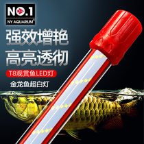 no1 Qinfeng golden dragon fish special explosion algae light super white LED light Full Spectrum Waterproof Diving light