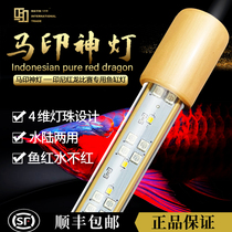 Ma Yin magic lamp plus fish tank enhancement lamp dragon fish special lamp three basic color LED lamp four-dimensional lamp diving lamp