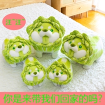 Vegetable Elf food dog doll pillow pillow big pillow plush name Pao excellent doll cabbage dog doll B station Dog