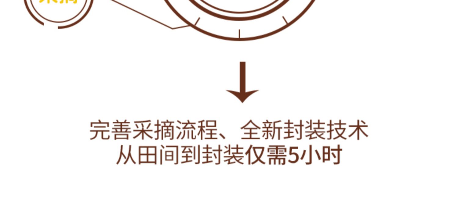 康宇田源非转基因有机玉米10根