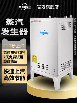 Sespur gas steam generator commercial energy-saving steamer steam cabinet brewing tofu intelligent Steam Machine