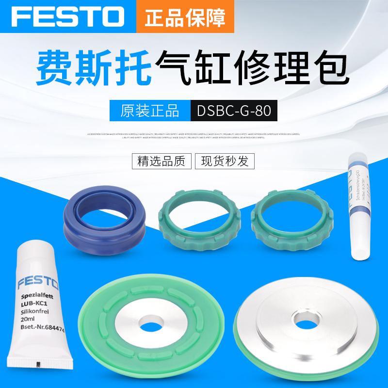 Feestrust FESTO cylinder DSBC repair kit DSBC-80-PPVA-N3-100-PPVA-N3 easy to consume