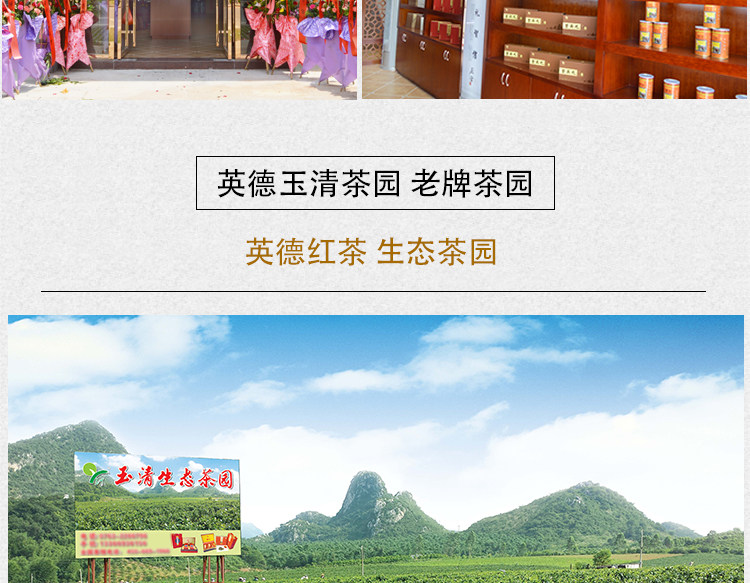 国礼级红茶 英德红茶 金英九 玉清上叶 150g 图20