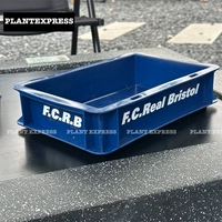 Тибетский синий FCRB