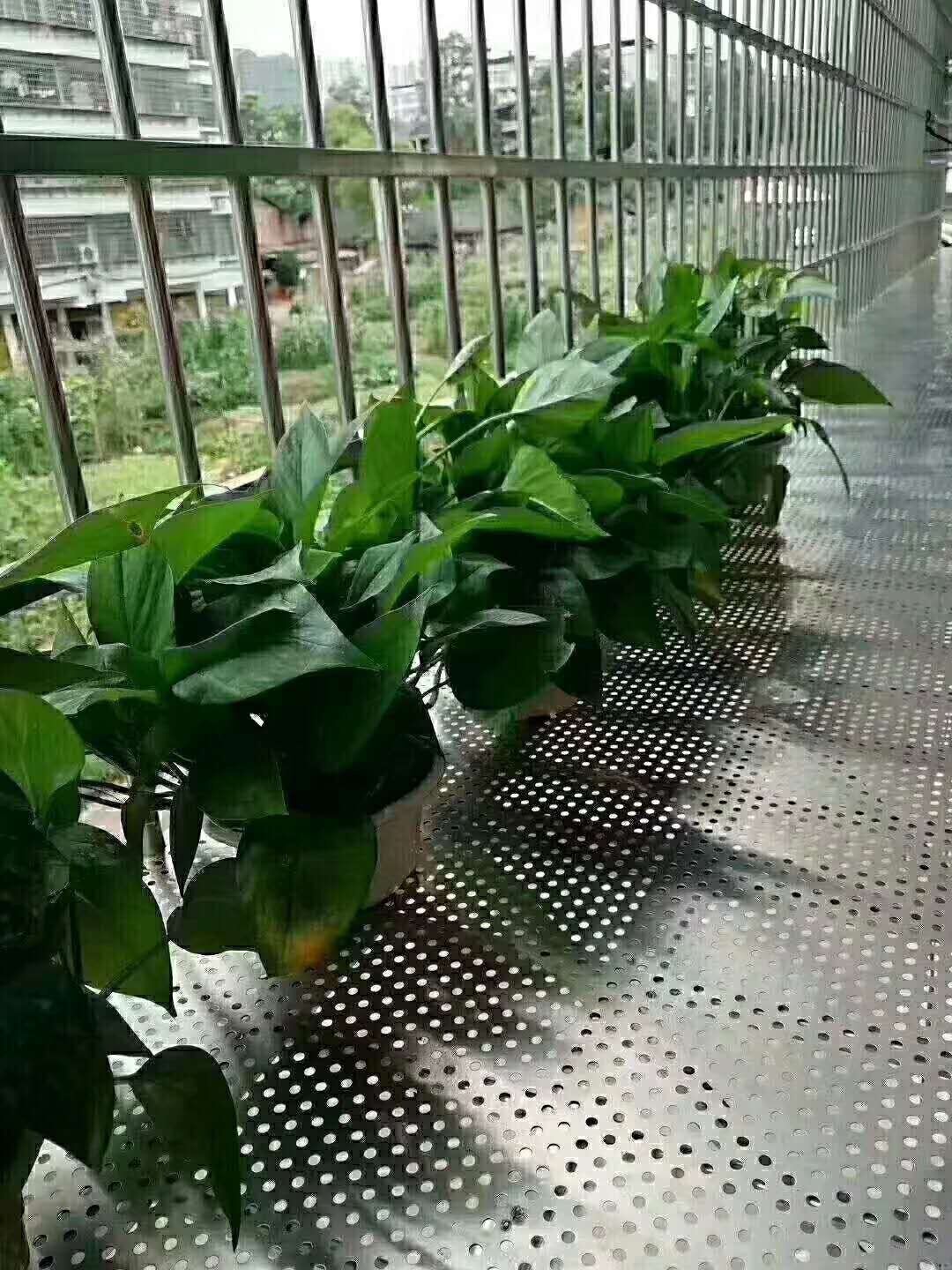 Anti-drop balcony protective net protective net balcony household 304 stainless steel mesh thickened 304 stainless steel punching plate