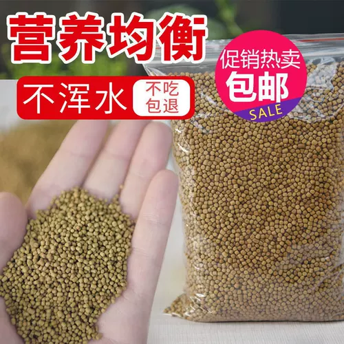 Рыба для рыбы, декоративная рыба, рыба -корма koi кормит небольшие золотые рыб