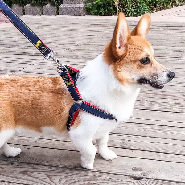 Товары от 妙应食品旗舰店