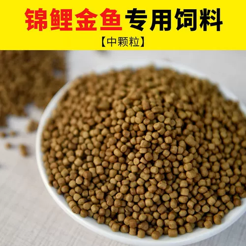 Рыба для рыбы, декоративная рыба, рыба -корма koi кормит небольшие золотые рыб