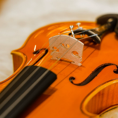 Учитель Кристина, Италия строго отобрана e05a xiaoqin