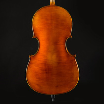SC500 imported European expected professional playing test class Sleeping Beauty cello