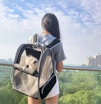 Cat Bag Out of portable large capacity Cat Backpack Pet God Instrumental Cat Nest Fashion Travel Puppies Bag summer