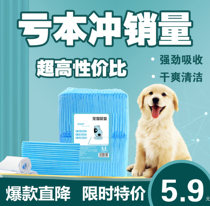 Pooch Diaper Male Dog Special Dog Urine Mat Urine not wet diaper Pet Supplies Deodorize Thickened Water Tedi Puppies