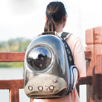 Cat Bag Out Portable Summer Breathable with Puppy Bag Out Bag Space Cabin Pet Kitty Travel Backpack