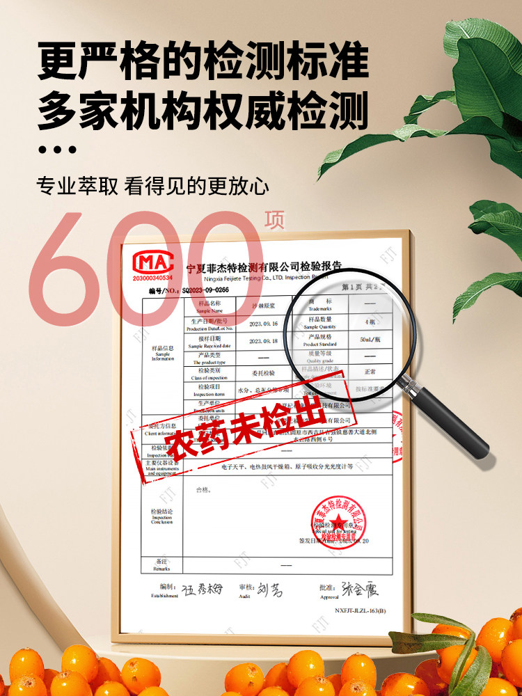 Sea Buckthorn Puree Genuine Product Official Flagship Store Fruit Pulp Non-Organic Liquid Extract Inner Mongolia Small Fruit Inner Mongolia Grassland Nfc Juice