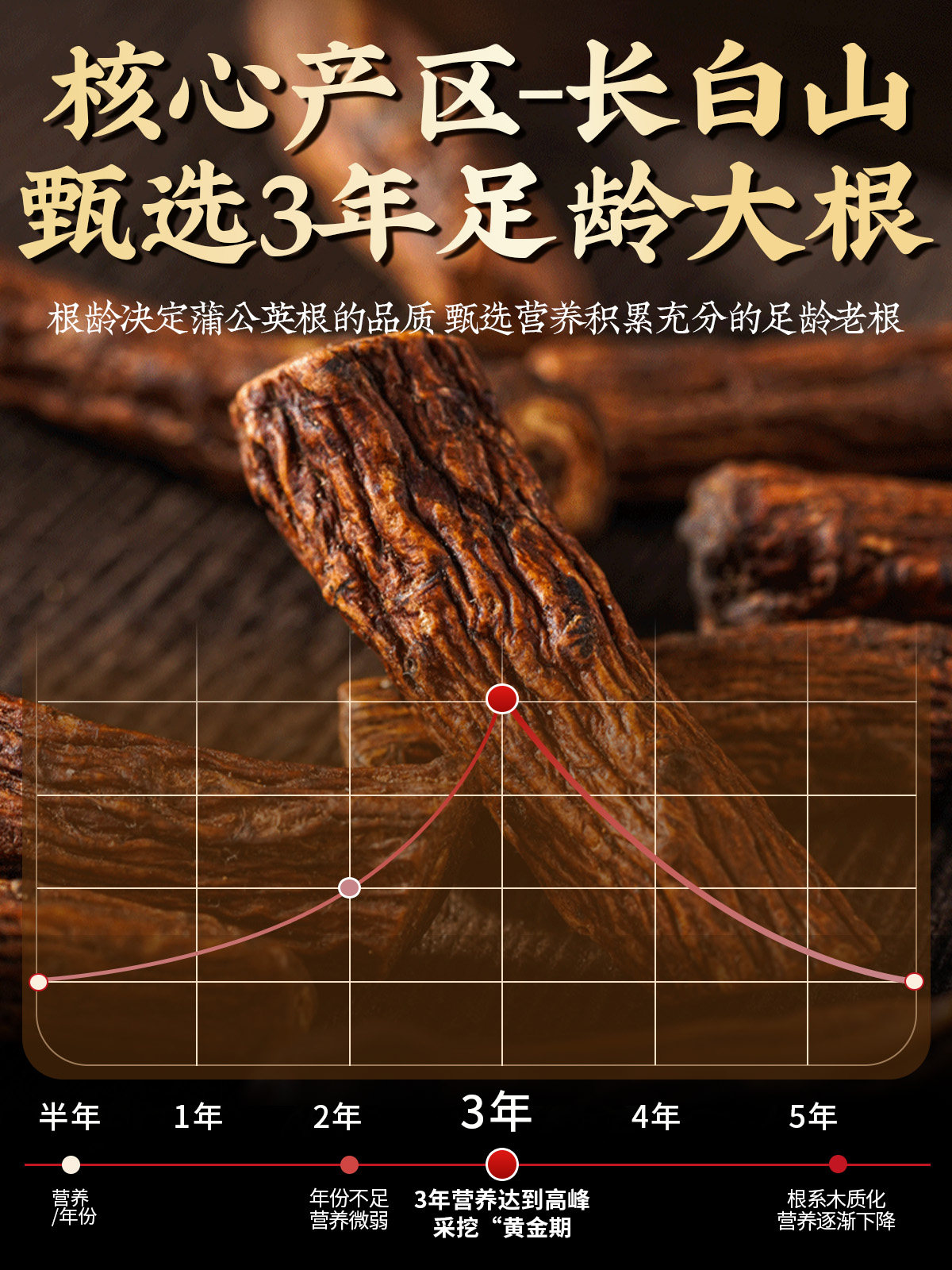 Dandelion Root Tea, a Traditional Chinese Medicinal Herb from Changbai Mountain, Wild, Roasted to Reduce Internal Heat, Paired with Chrysanthemum Knot Tea, Authentic, Official Flagship Store