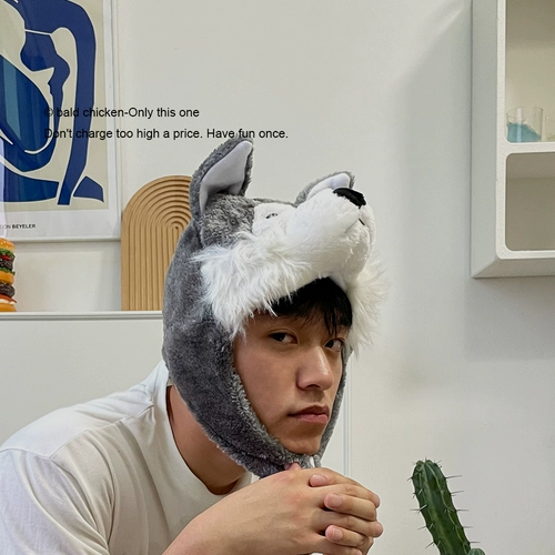 Лысная курица!Нечего делать, надеть хаски капюшон и быть милым. Творческий хаски капюшон и подарки на день рождения